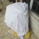 cold blog1