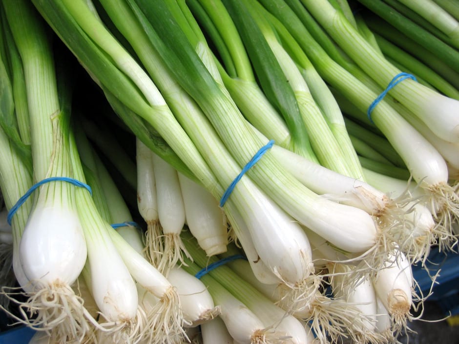 Highlighting onions grown in veggie gardens in San Antonio Texas