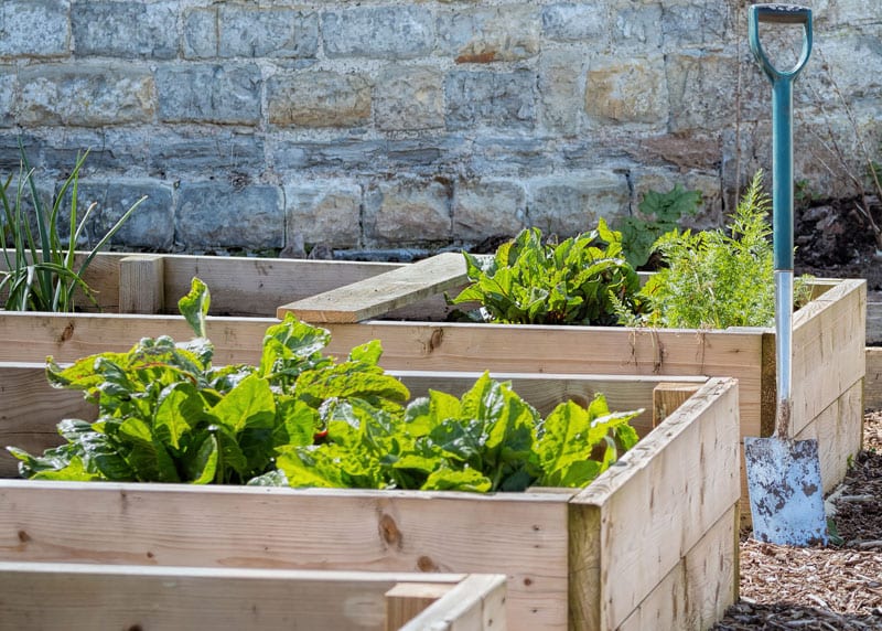 Best Easy DIY Raised Bed Garden Ideas - A Piece Of Rainbow