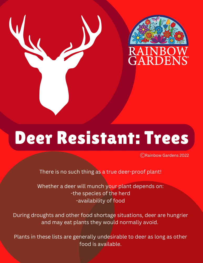 Deer Resistant Plants Trees Rainbow Gardens 8860