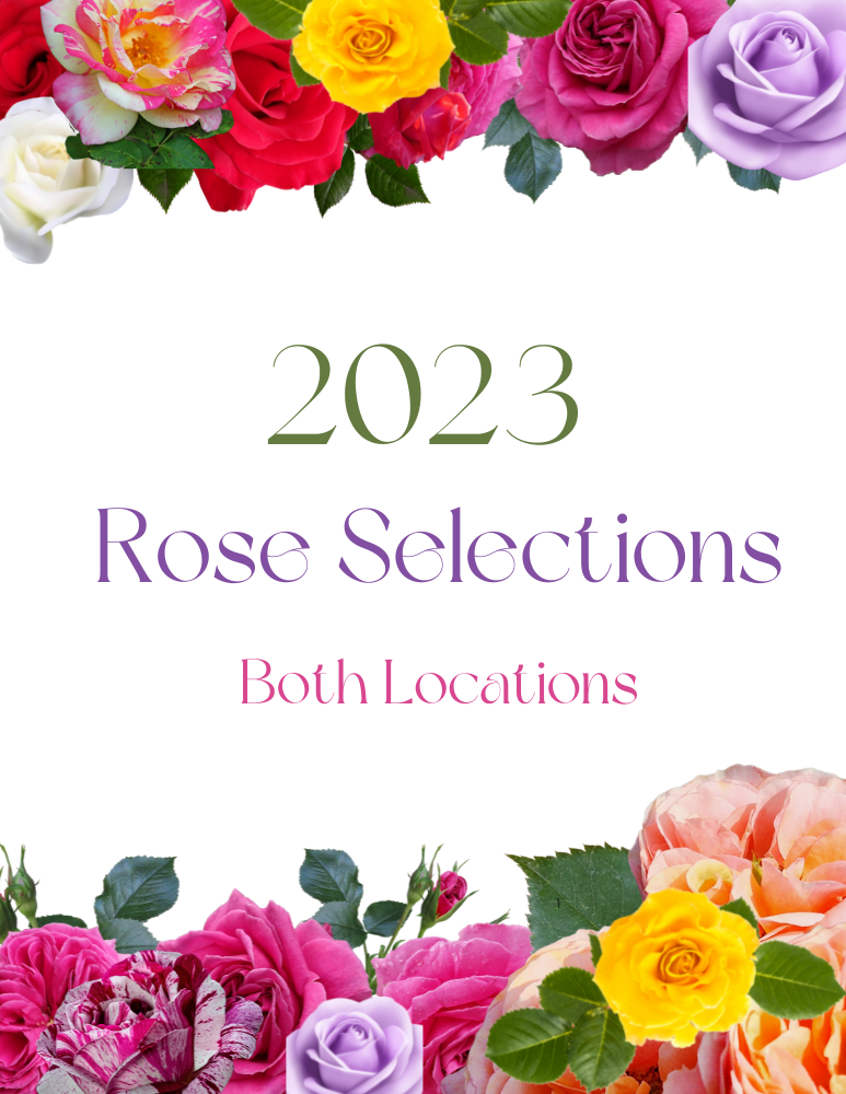 2023 Rose Selections: Both Locations | Rainbow Gardens